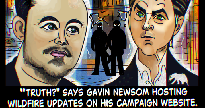 Elon Musk Gavin Newsom California Fires Political Cartoon