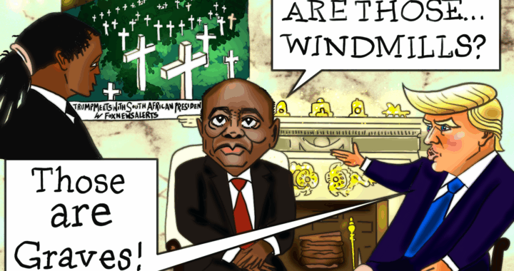 Political Cartoon President Donald Trump Confronts South Africa Ramaphosa w ‘Kill the Farmer’ Video