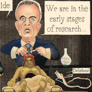 rush order upgrade for custom political cartoons